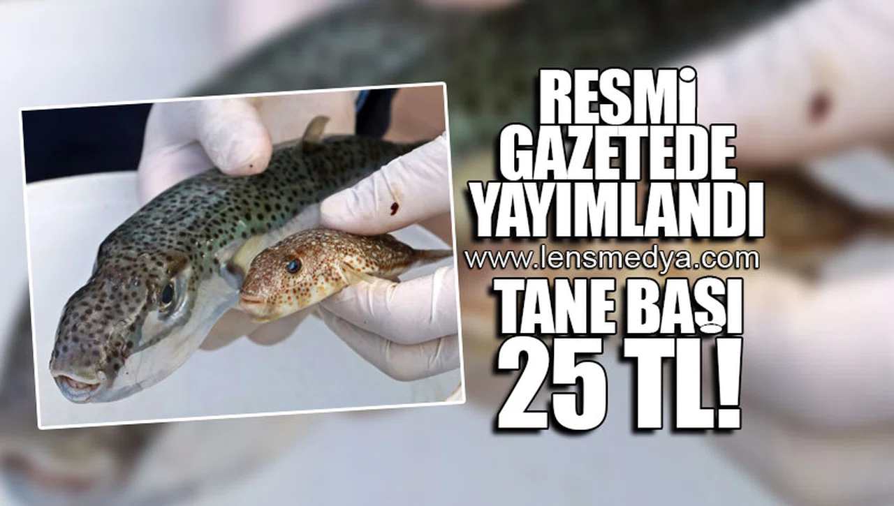 RESMİ GAZETEDE YAYIMLANDI! TANE BAŞI 25 TL!
