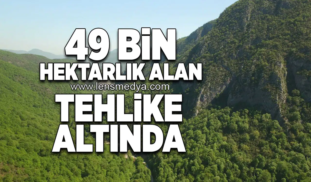 49 Bin hektarlık alan tehlike altında!