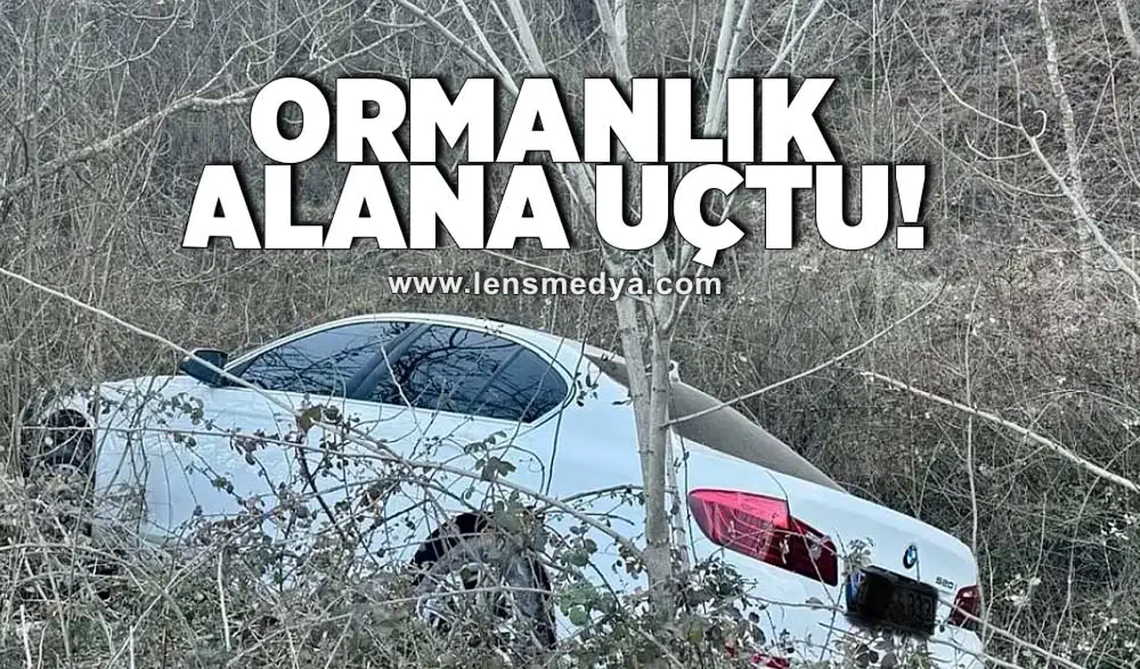 Ormanlık alana uçtu!