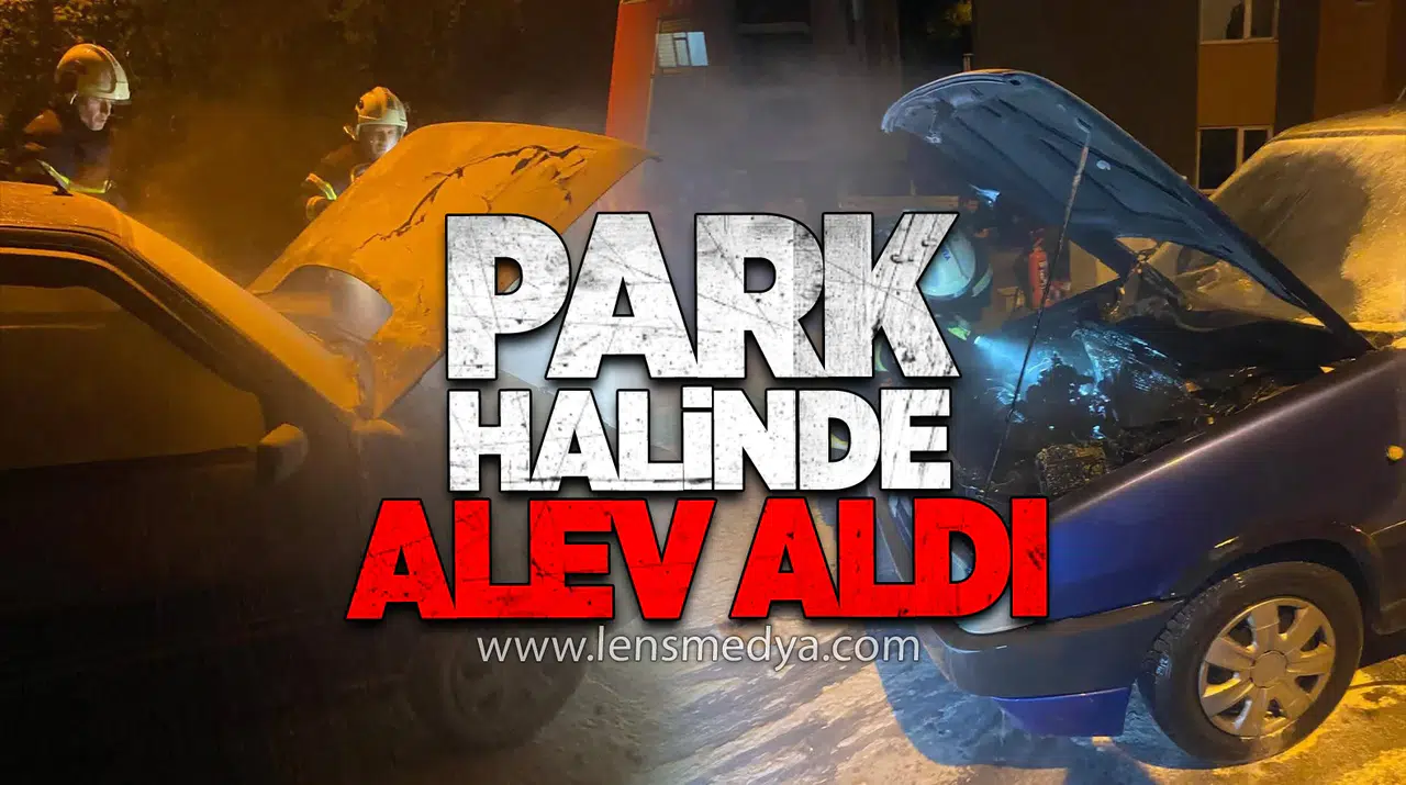 Park halindeki araç alev aldı