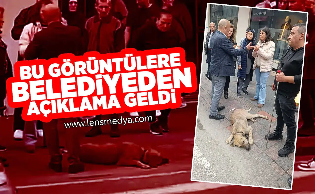 Bu görüntülere belediyeden açıklama geldi!