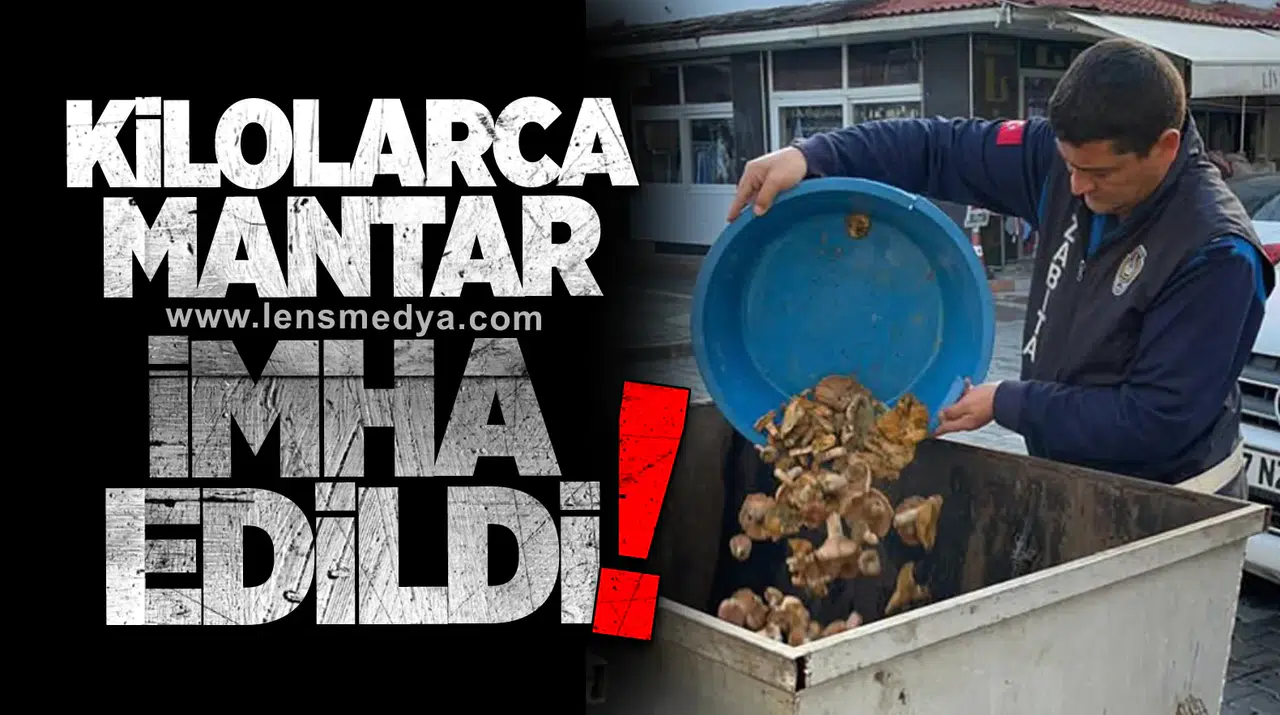 Kilolarca mantar imha edildi