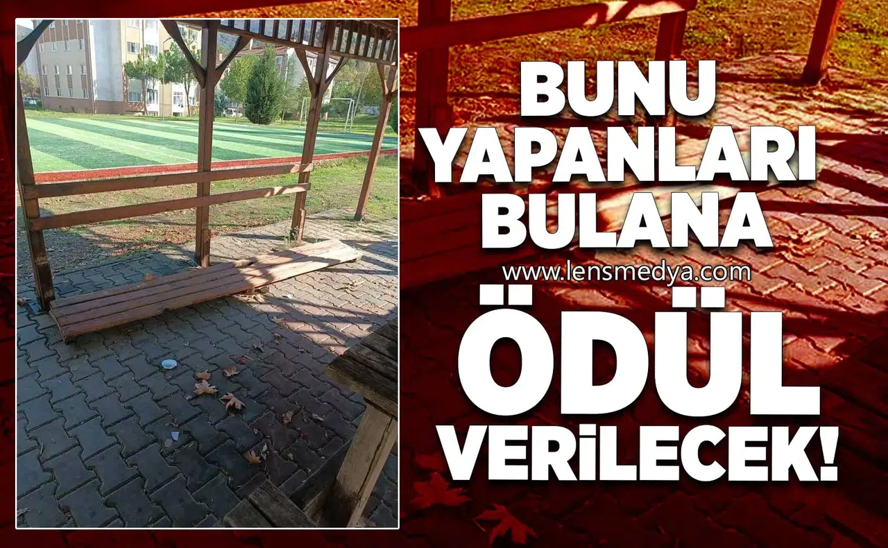 Bunu yapanları bulana ödül verilecek!
