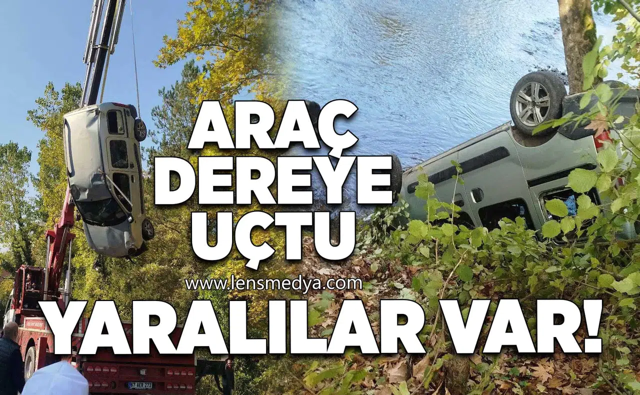 Araç dereye uçtu!