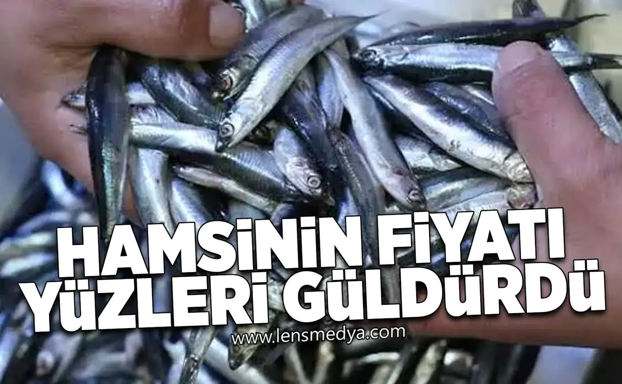 Hamsinin fiyatı yüzleri güldürdü!