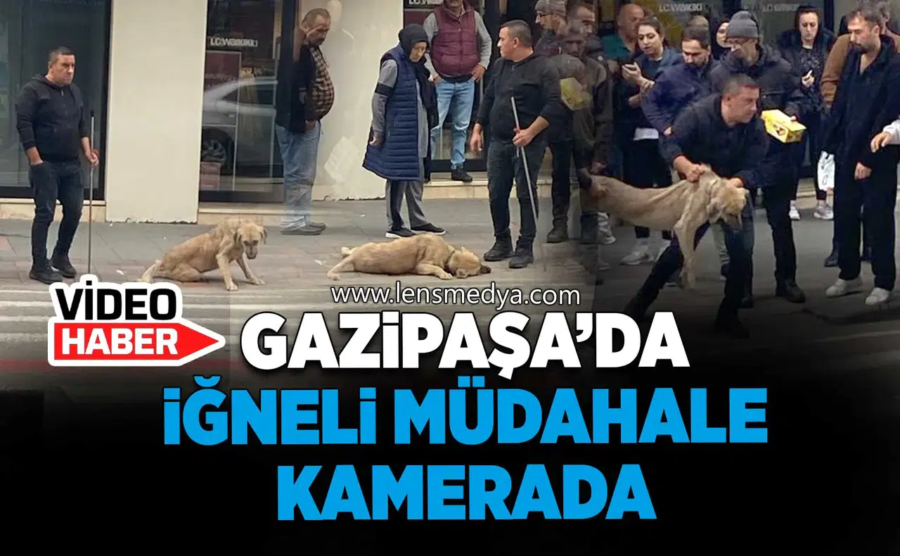 Gazipaşa’da İğneli Müdahale Kamerada