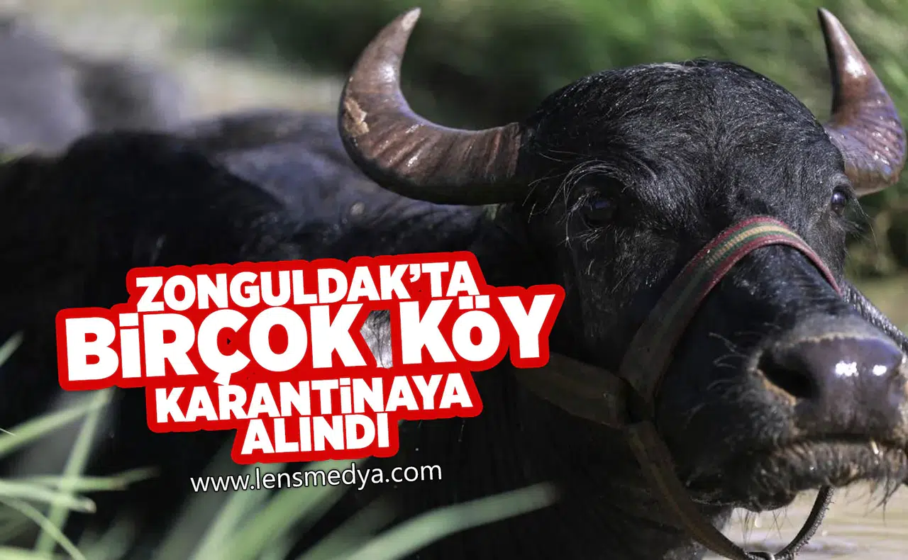 Zonguldak'ta birçok köy karantinaya alındı!