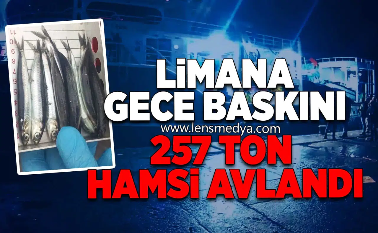 Limana Gece Baskını: 257 Ton Hamsi Avlandı