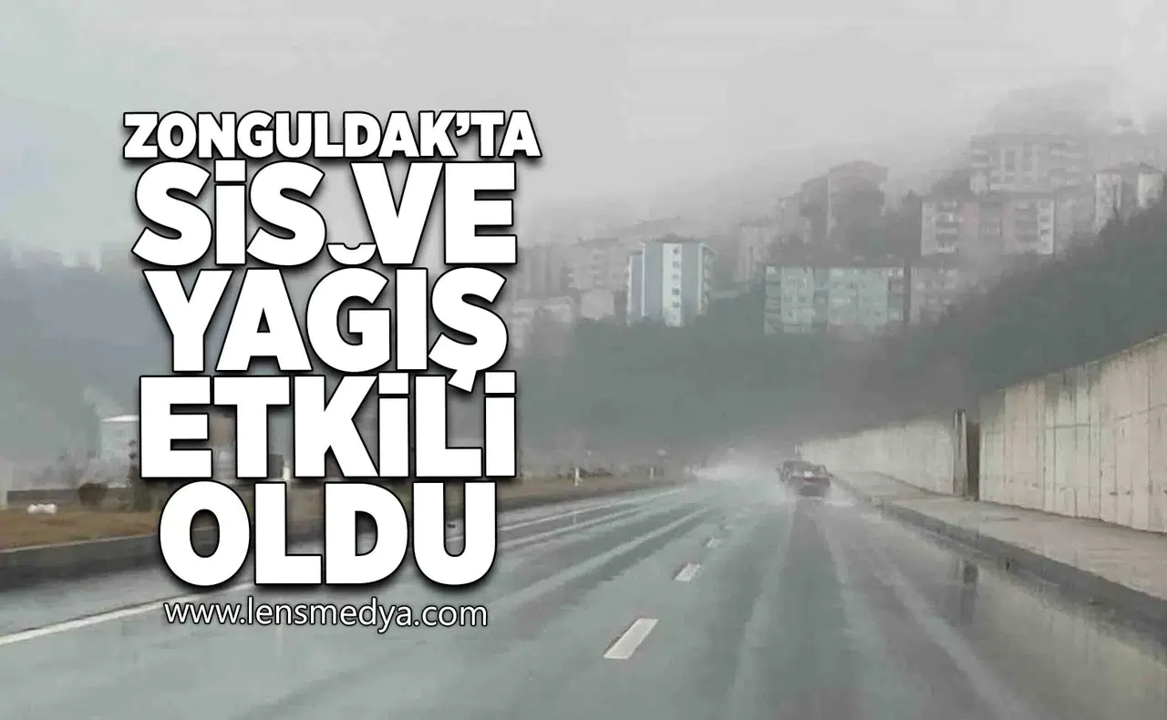 Zonguldak'ta sis ve yağış etkili oldu!