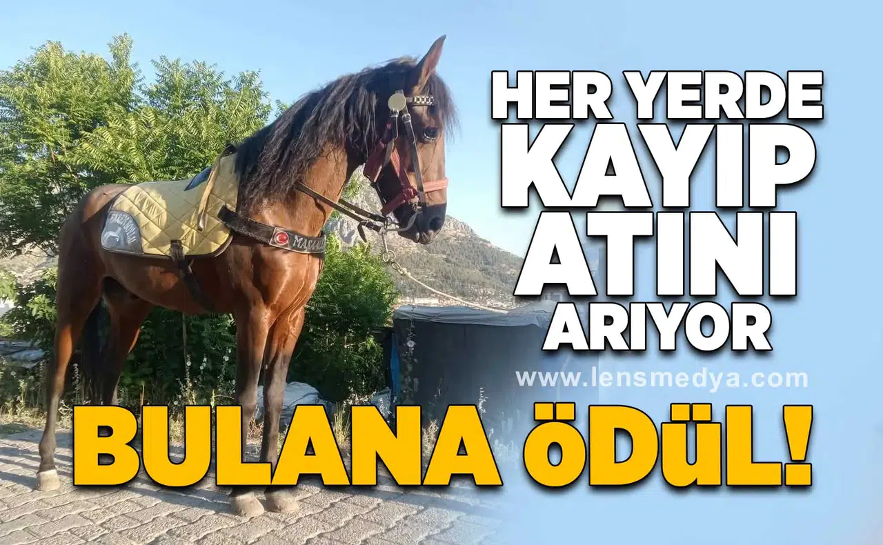 Kayıp atını arıyor... Bulana ödül var!