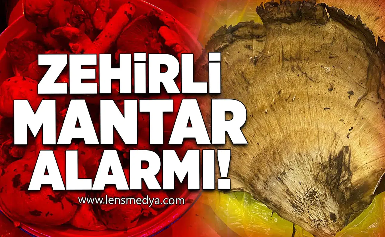 Zehirli Mantar Alarmı!