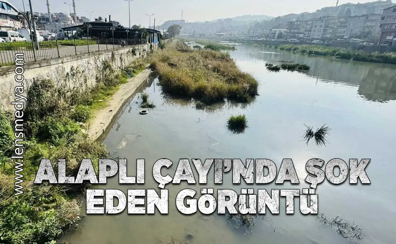 Alaplı Çayı'nda şok eden görüntü!