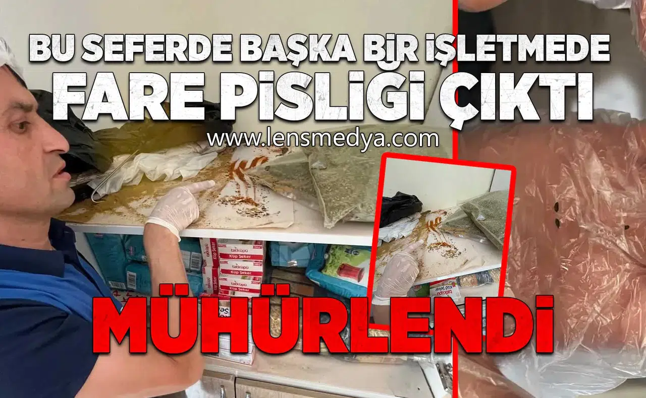 Bu seferde başka bir işletmede fare pisliği çıktı!