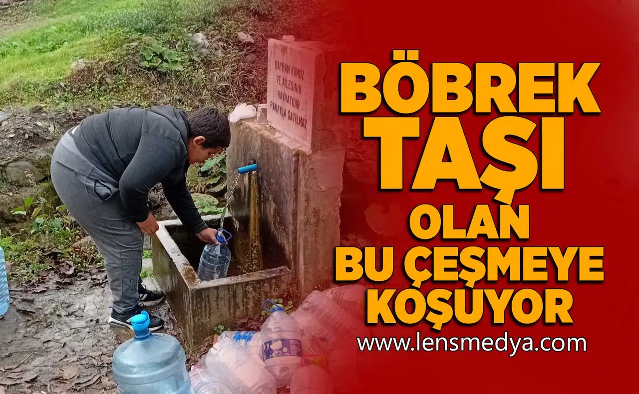 Böbrek taşı olan bu çeşmeye koşuyor!