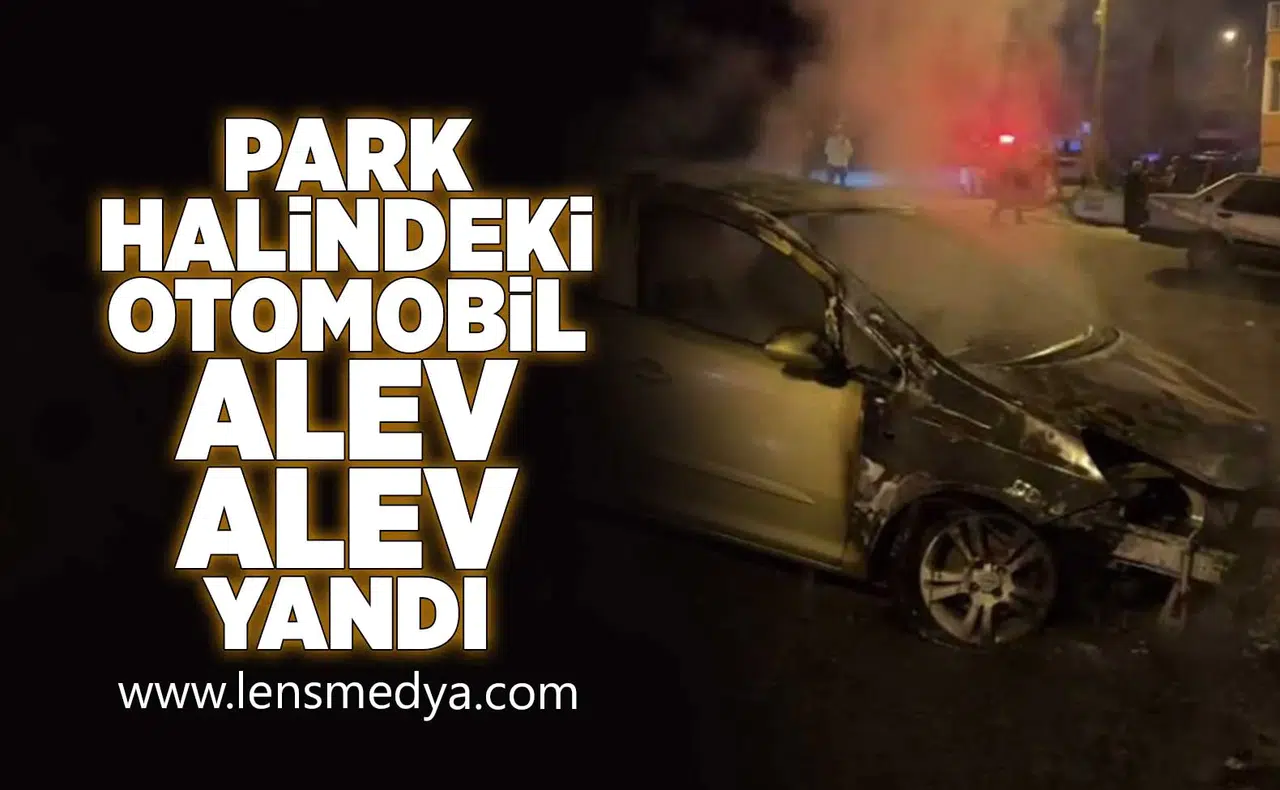 Park halindeki araç alev alev yandı!