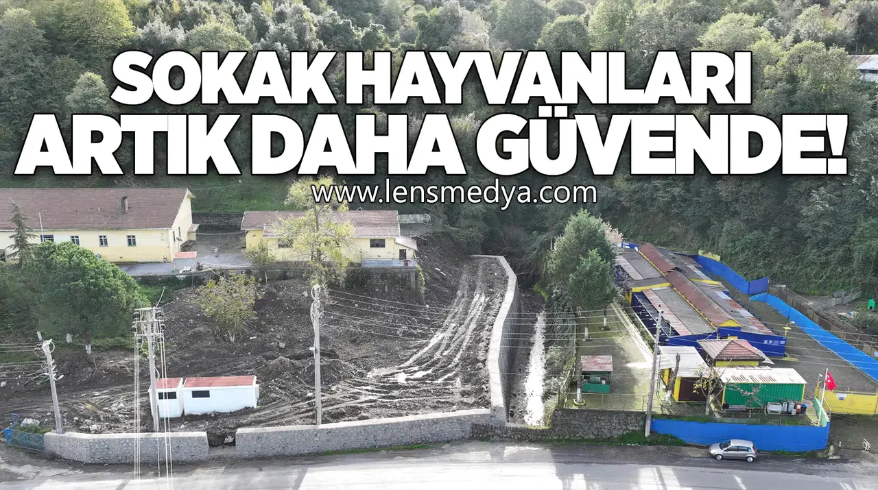 SOKAK HAYVANLARI BARINMA EVİ’NİN KAPASİTESİ ARTIRILIYOR