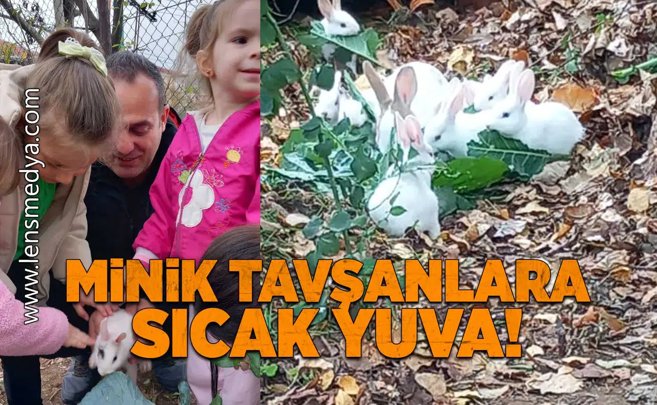 Minik tavşanlara sıcak yuva!