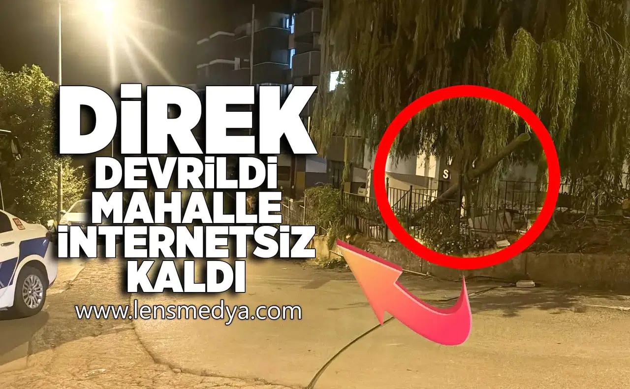 Direk devrildi, mahalle internetsiz kaldı!