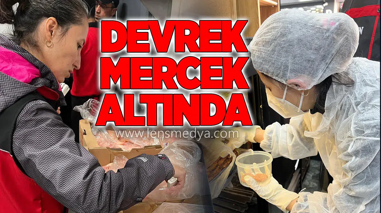 DEVREK MERCEK ALTINDA!