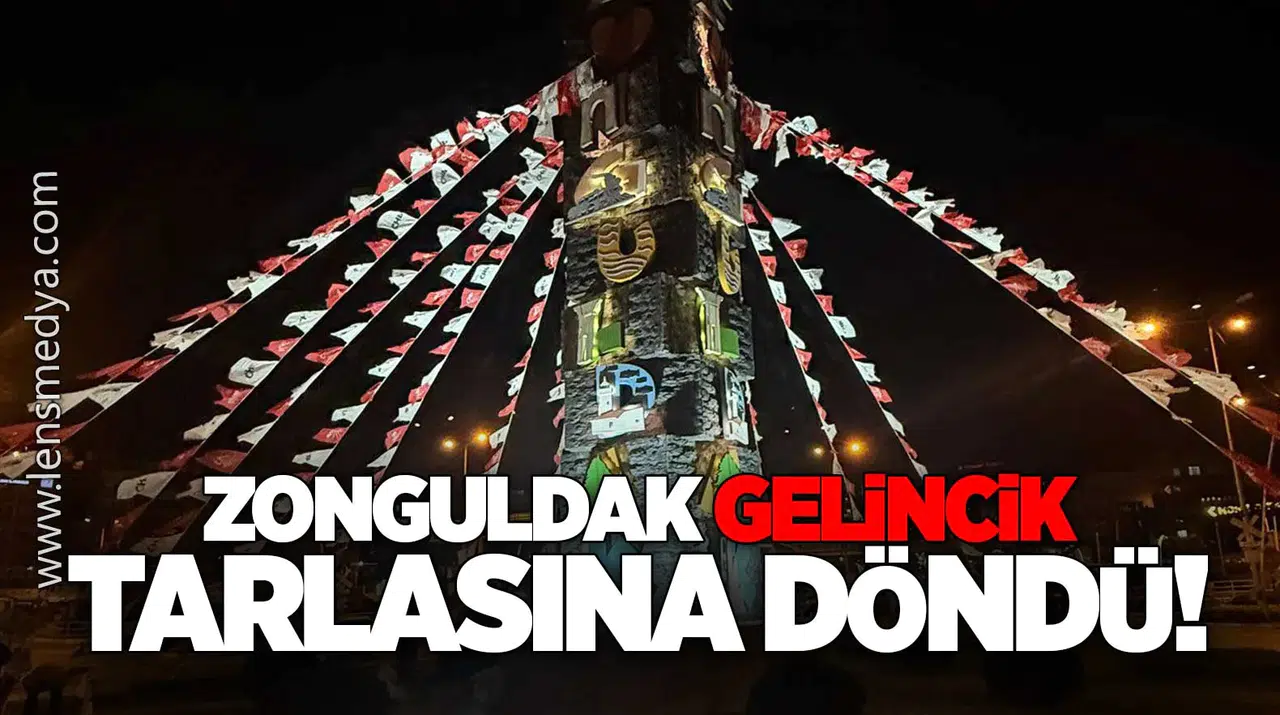 Zonguldak Gelincik Tarlasına Döndü
