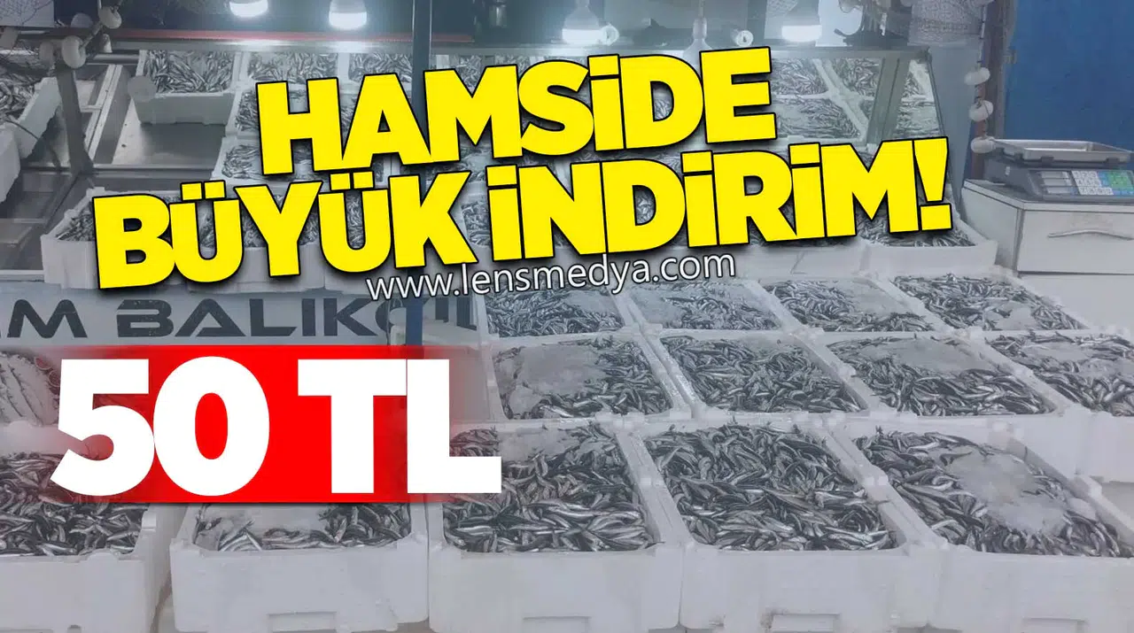 Hamsi Fiyatında Büyük İndirim!
