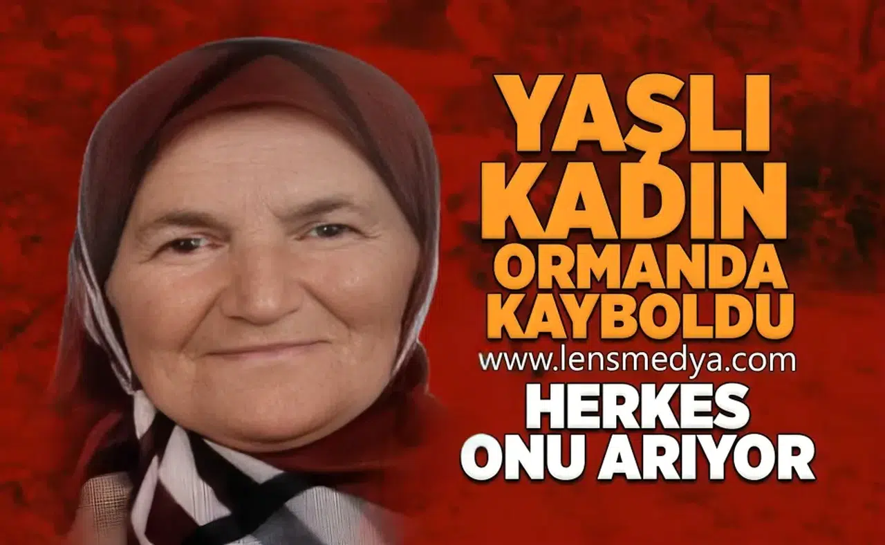 Yaşlı kadın ormanda kayboldu!