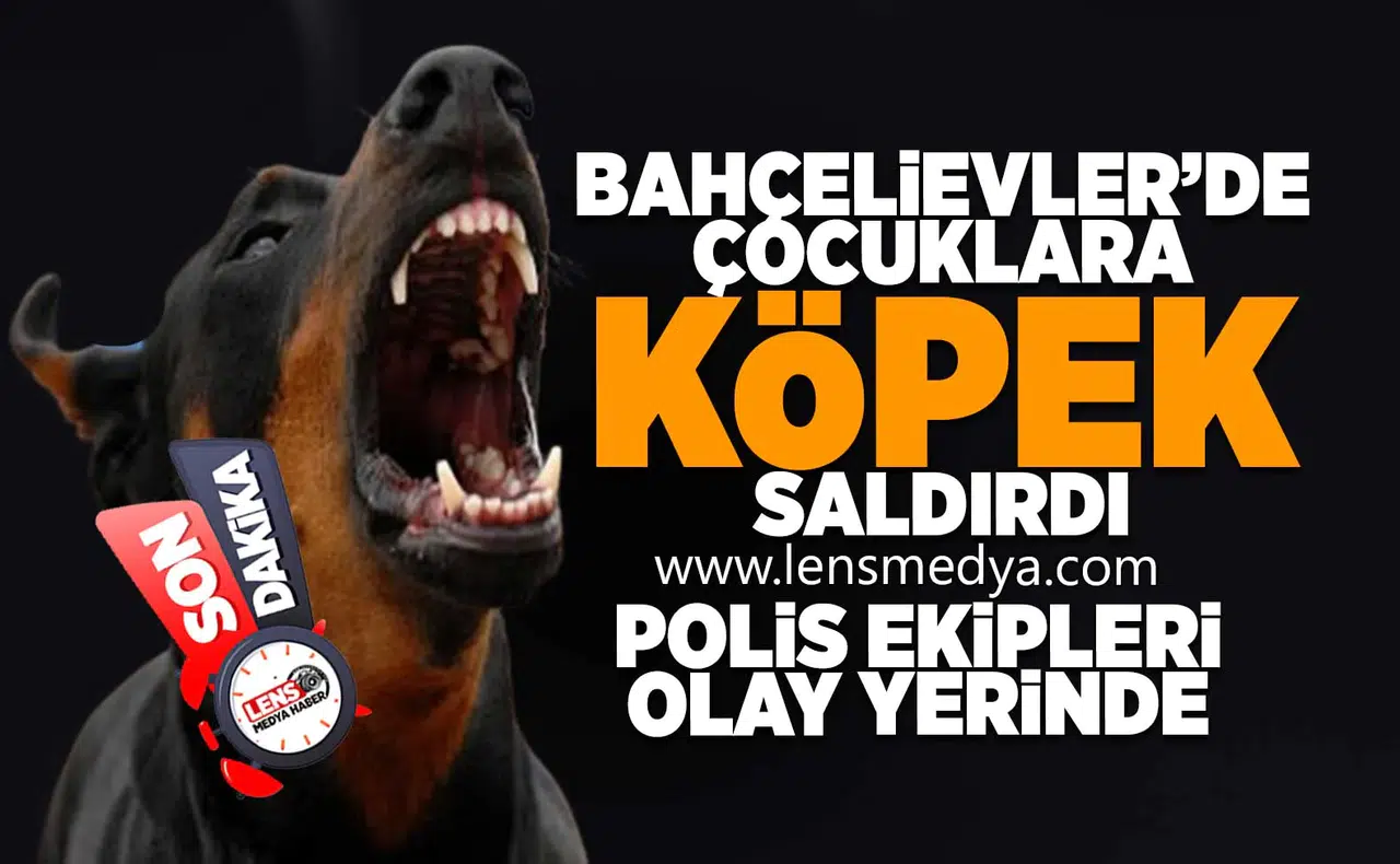 Bahçelievler'de çocuklara köpek saldırısı!