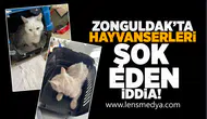 Zonguldak'ta hayvanseverleri şok eden iddia!