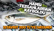Zonguldak’ta İstavrit 200 TL’ye Dayandı
