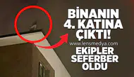 Binanın 4. katına çıktı: Ekipler seferber oldu!