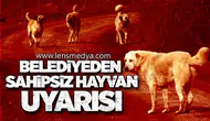 BELEDİYEDEN SAHİPSİZ HAYVAN UYARISI