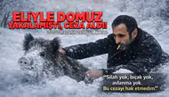 Eliyle domuz yakalamıştı... Ceza kesildi!