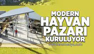 Modern Hayvan Pazarı kuruluyor!