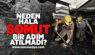 Neden hala somut bir adım atılmadı?