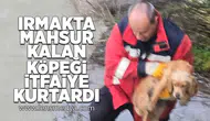 Irmakta mahsur kalan köpeği itfaiye kurtardı!