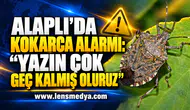 ALAPLI’DA KOKARCA ALARMI: “YAZIN ÇOK GEÇ KALMIŞ OLURUZ”