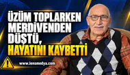 ÜZÜM TOPLARKEN MERDİVENDEN DÜŞTÜ, HAYATINI KAYBETTİ