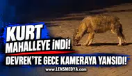 KURT MAHALLEYE İNDİ! DEVREK’TE GECE KAMERAYA YANSIDI!