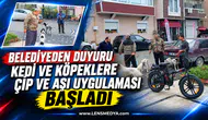 BELEDİYEDEN DUYURU: KEDİ VE KÖPEKLERE ÇİP VE AŞI UYGULAMASI BAŞLADI