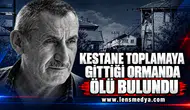 KESTANE TOPLAMAYA GİTTİĞİ ORMANDA ÖLÜ BULUNDU