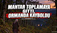 MANTAR TOPLAMAYA GİTTİ, ORMANDA KAYBOLDU