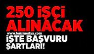 250 işçi alınacak işte başvuru şartları!