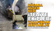 Rögara düşen kedi kurtarıldı!
