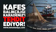 Kafer Balıkçılığı Karadeniz'i tehdit ediyor!