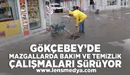 Gökçebey'de mazgallarda bakım ve temizlik çalışmaları sürüyor