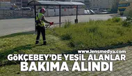 Gökçebey'de yeşil alanlar bakıma alındı
