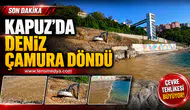 Kapuz'de deniz çamura döndü