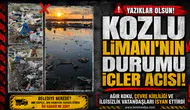 Kozlu Limanı'nın hali içler acısı!