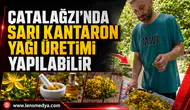 ÇATALAĞZI’NDA SARI KANTARON YAĞI ÜRETİMİ YAPILABİLİR