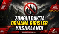 Zonguldak’ta ormana girişler yasaklandı